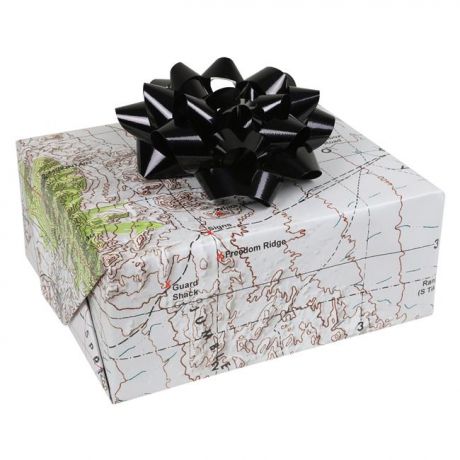 TG Area 51 Gift Wrap (8 Sheets) Photo